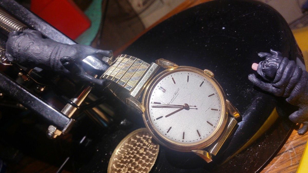 www.gregsteer.net/IWC/I_Images/Alvin_155659.jpg